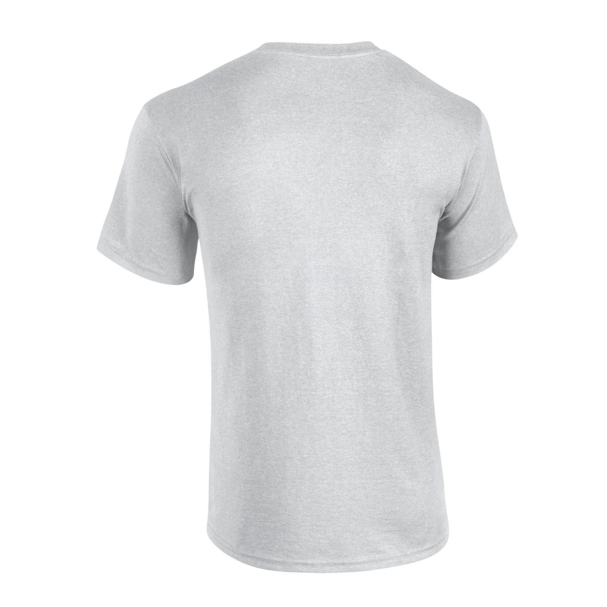 Unisex Adult Plain Cotton Heavy TShirt (Ash) 2/4