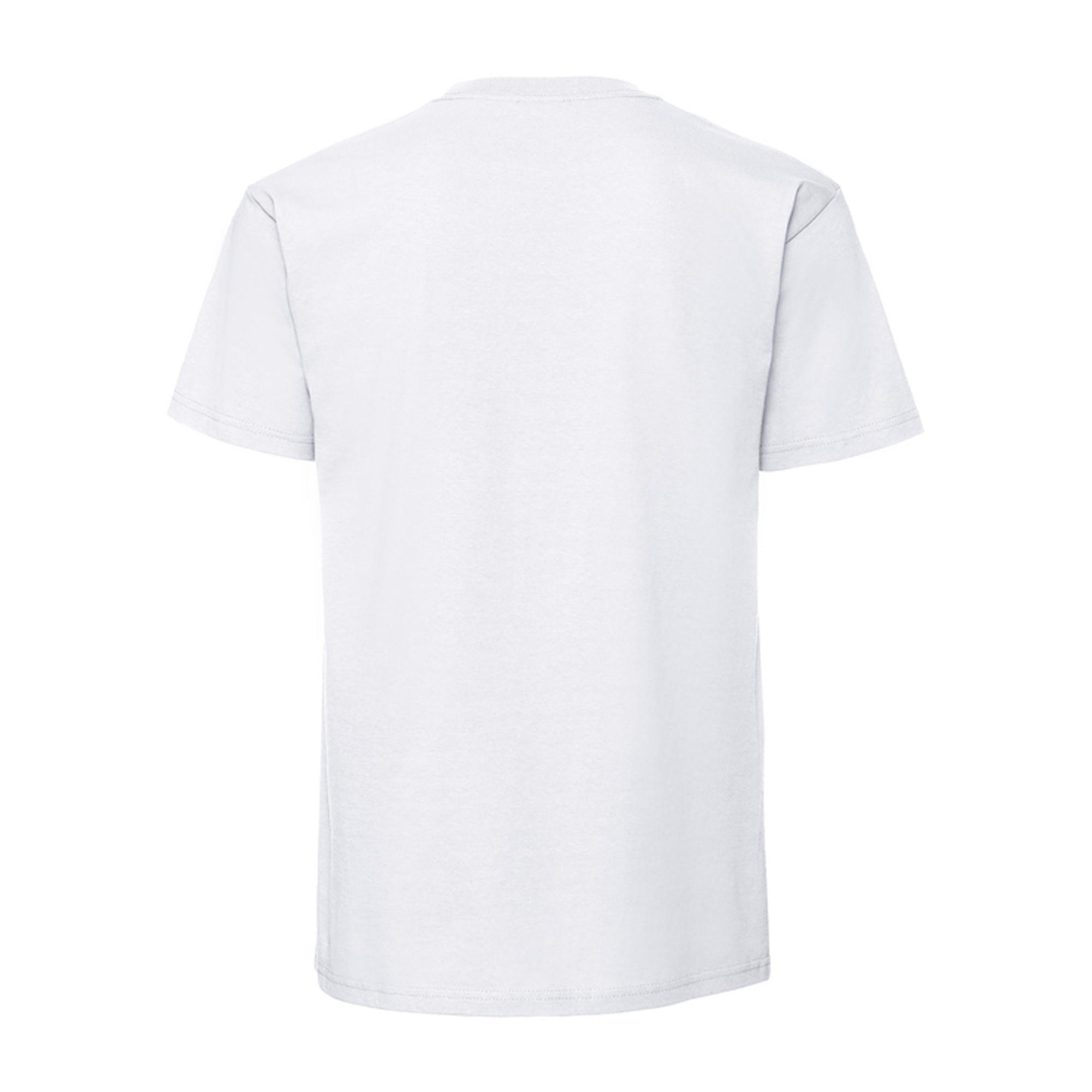 Tshirt ICONIC PREMIUM Homme (Blanc) 2/3