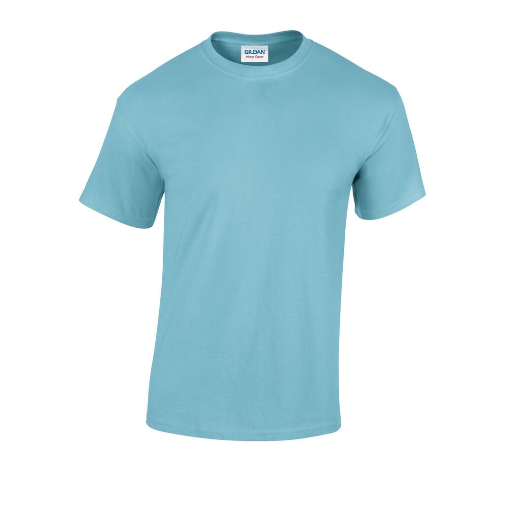 Unisex Adult Heavy Cotton TShirt (Sky)