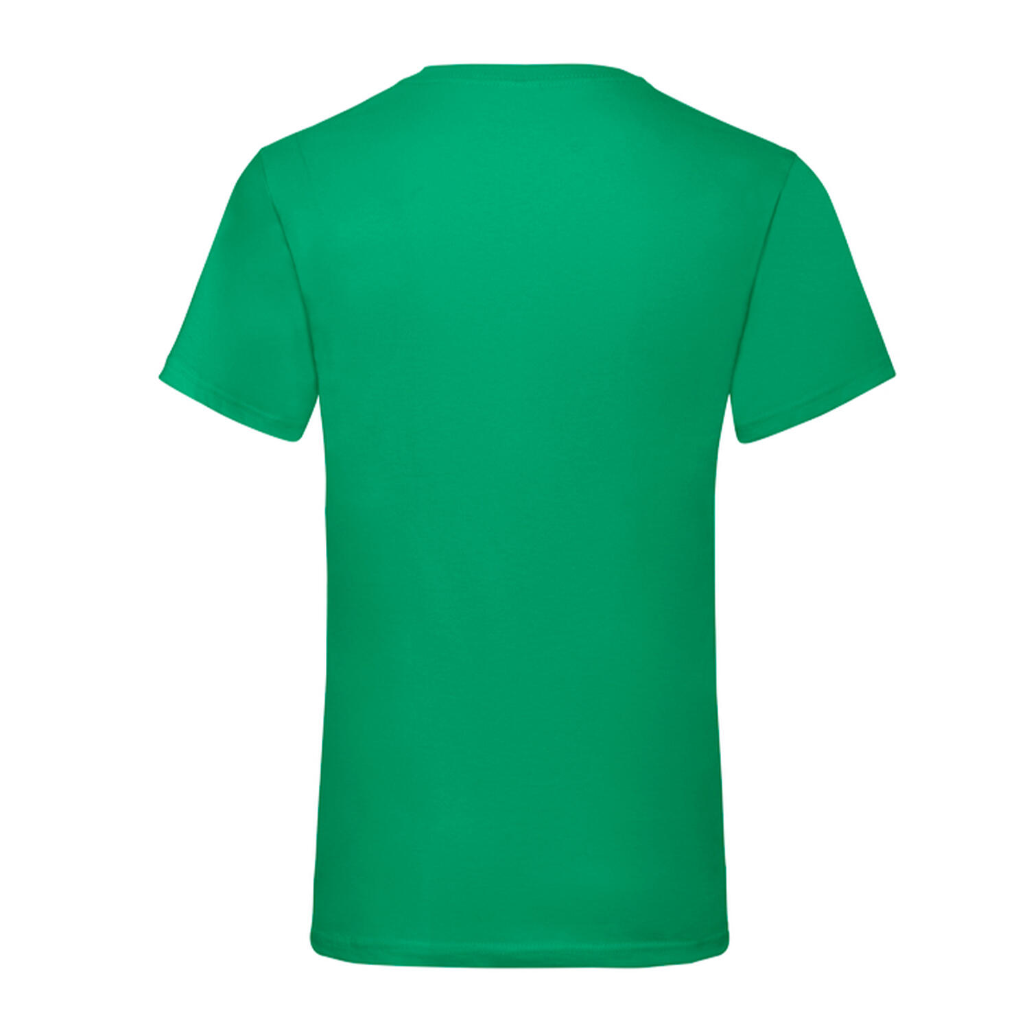 Tshirt VALUEWEIGHT Homme (Vert Kelly) 2/3