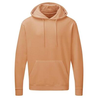 Heren gewone hooded sweatshirt top / hoodie (koninklijk)