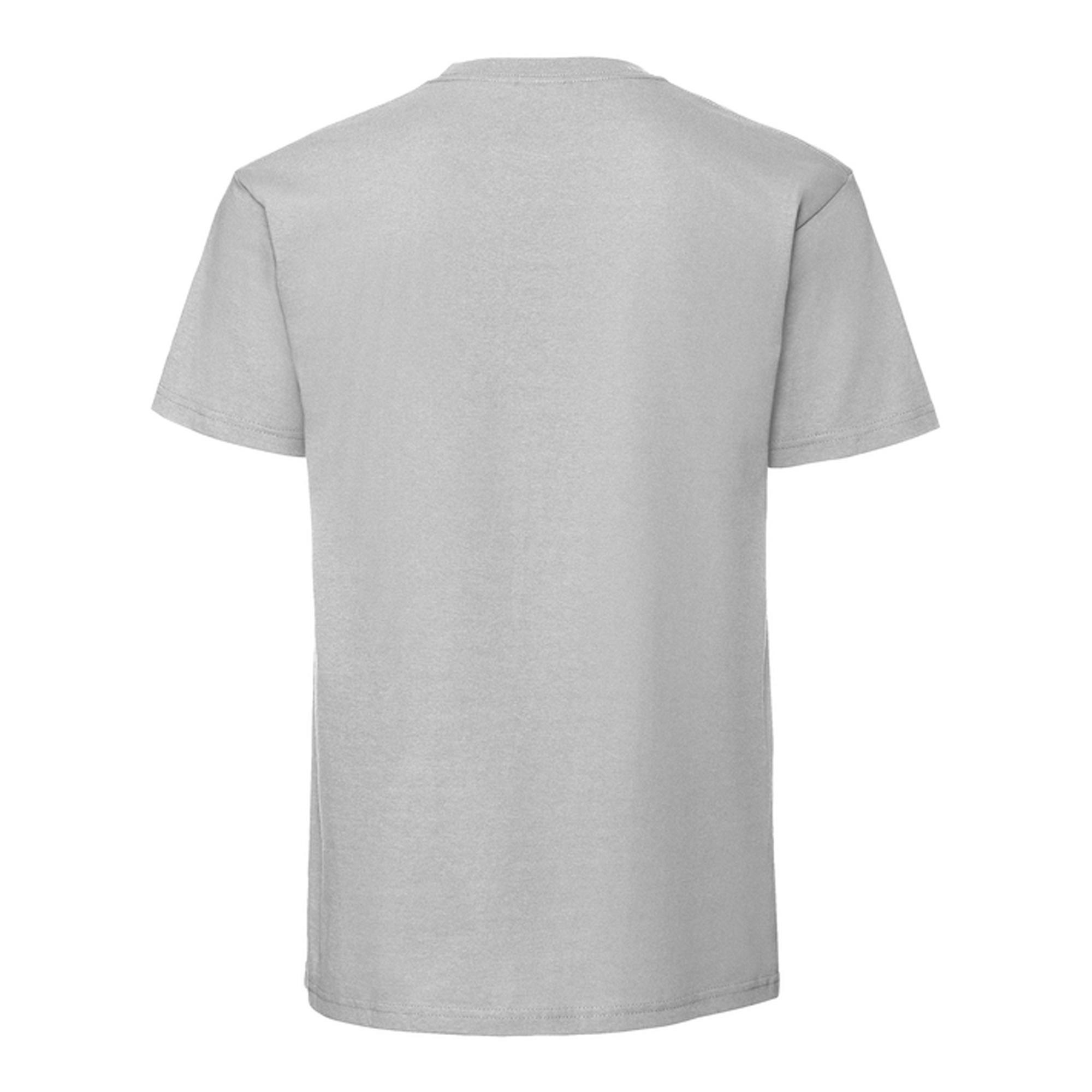 Maglietta Uomo Fruit Of The Loom Iconic Premium Zinco 2/3