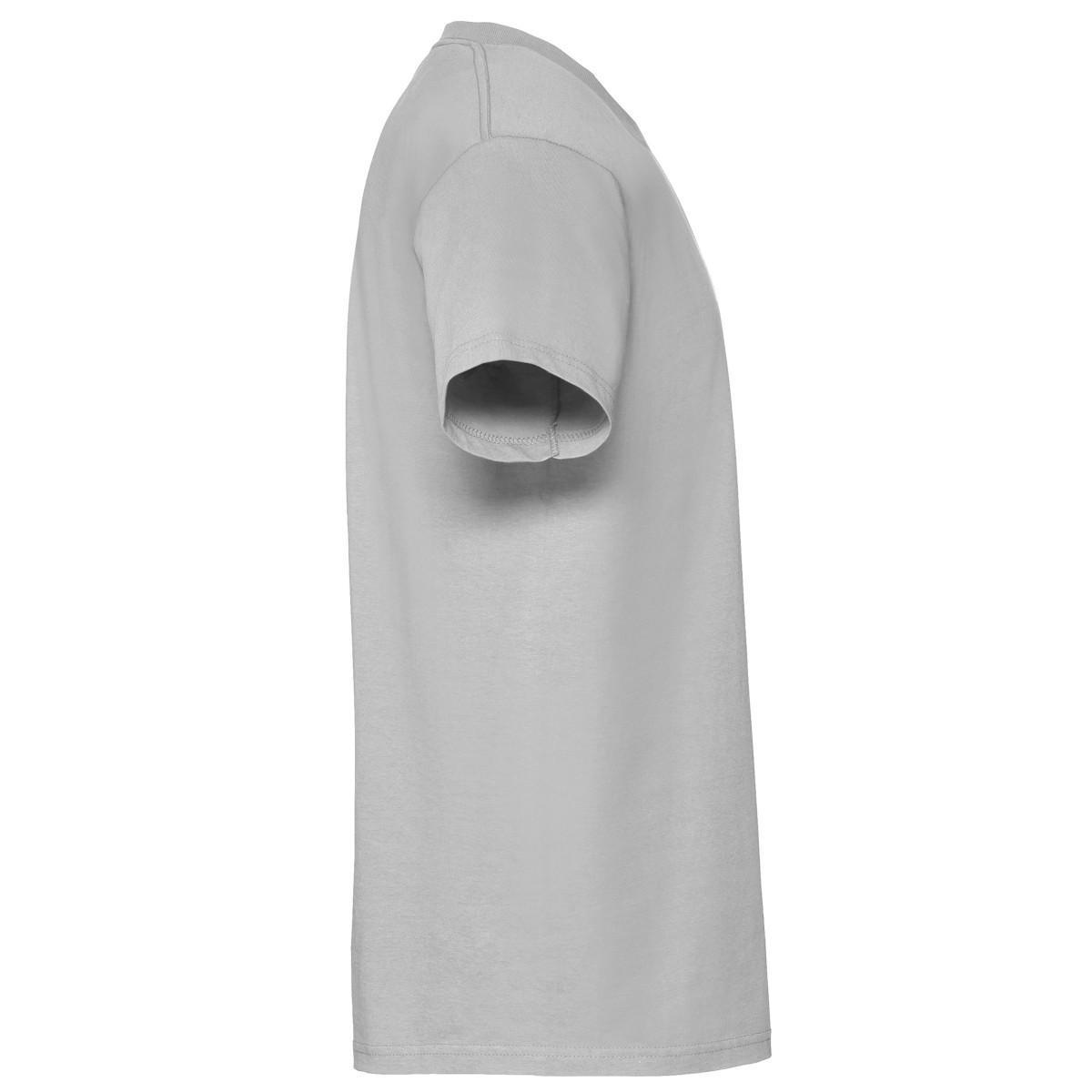 Maglietta Uomo Fruit Of The Loom Iconic Premium Zinco 3/3