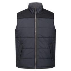 Veste Sans Manches ALTOONA Homme (Gris Phoque / Noir)