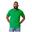 Tshirt SOFTSTYLE Adulte (Vert Irlandais)