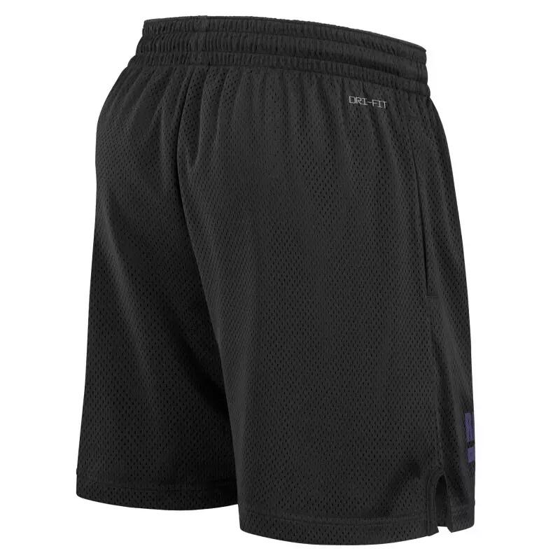 Short NFL Baltimore Ravens Nike Sideline Mesh 2024 Noir 2/2