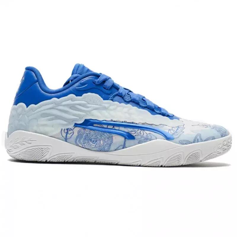 PUMA picture