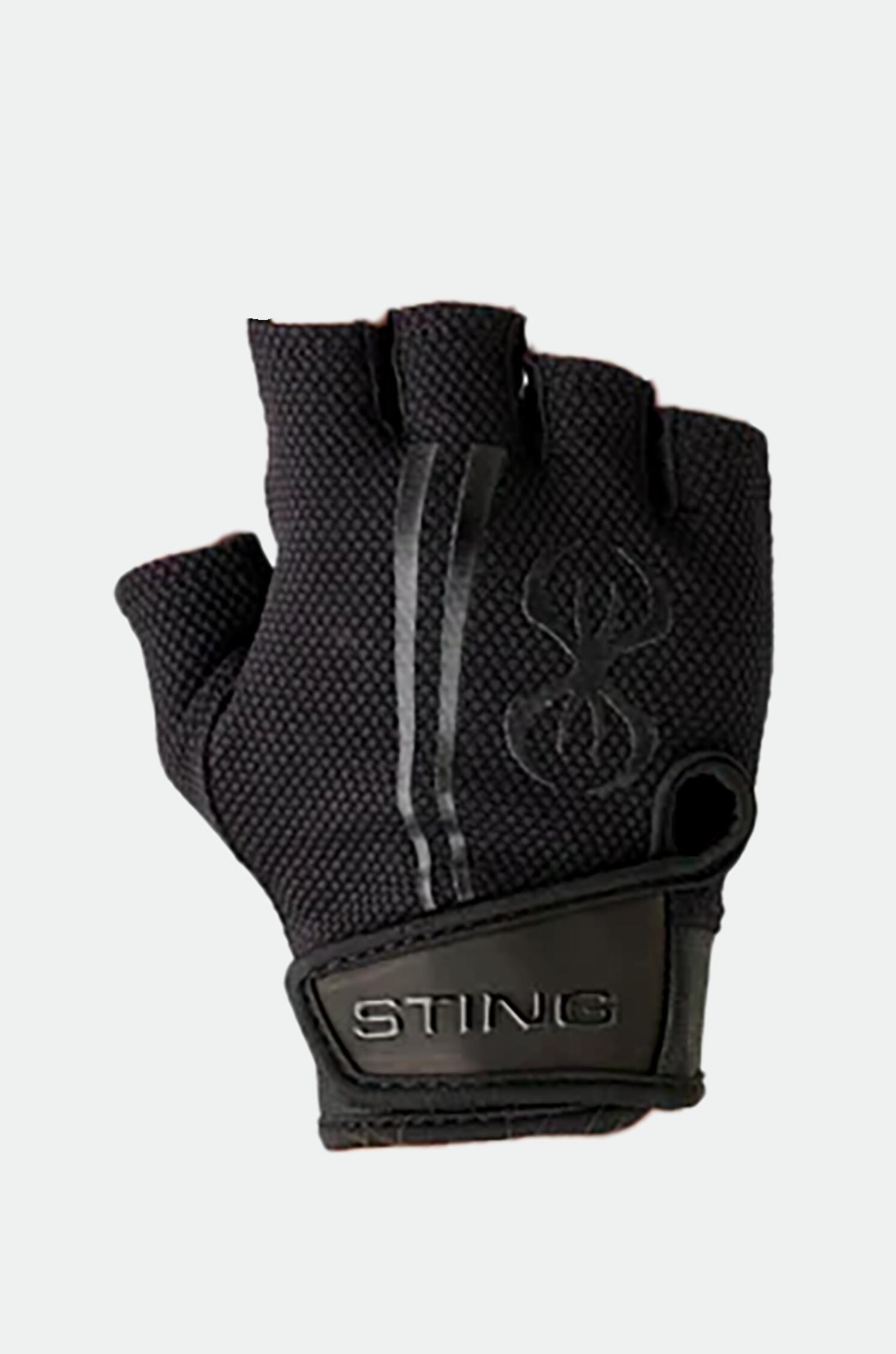 STING picture