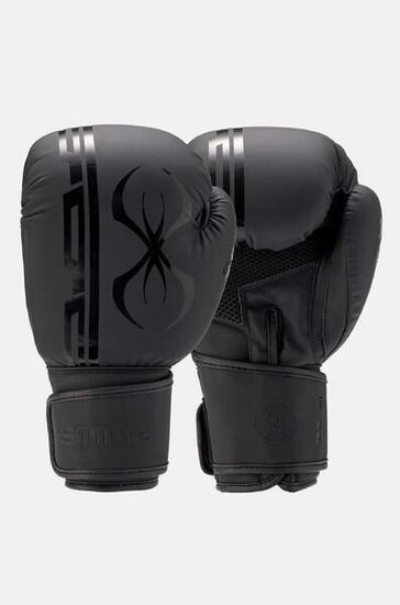 ARMAPLUS BOXING GLOVE
