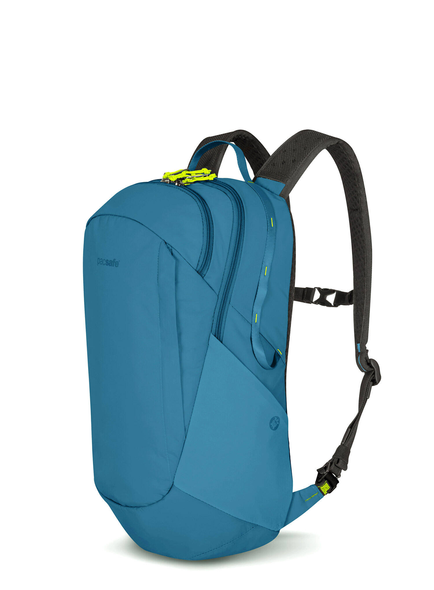 PACSAFE picture
