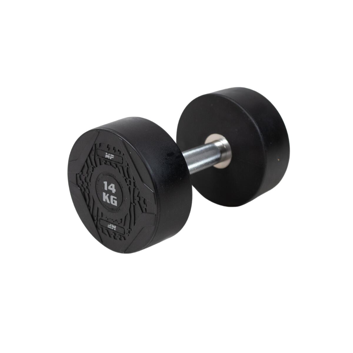 MUSCLE POWER picture