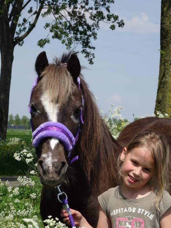 HB Glamour Halster Paars - Full 3/3