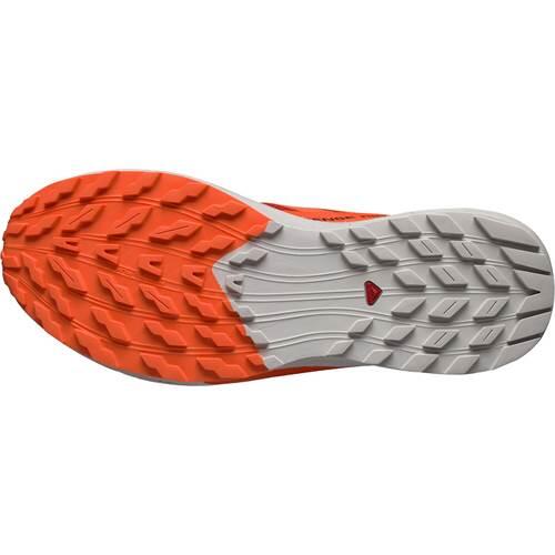 Schoenen om hard te lopen voor heren Salomon Sense Ride 5