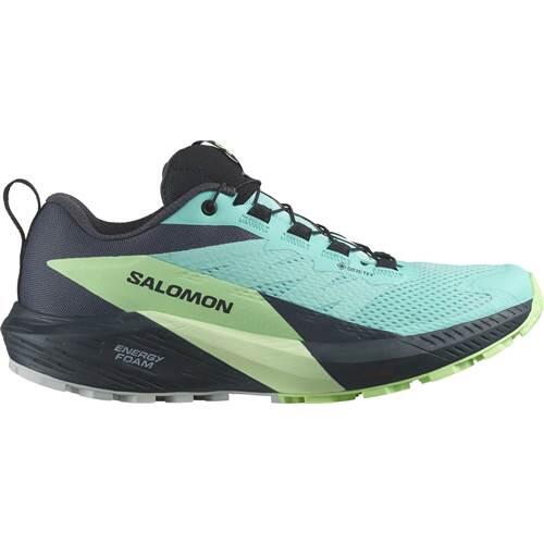 Salomon - Chaussures Running Femmes Salomon Sense Ride 5 Gtx - Chaussures De Sport - Bleu - Decathlon