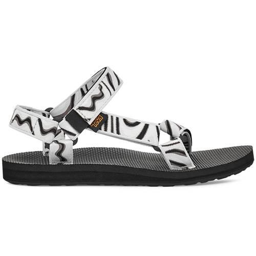 TEVA picture