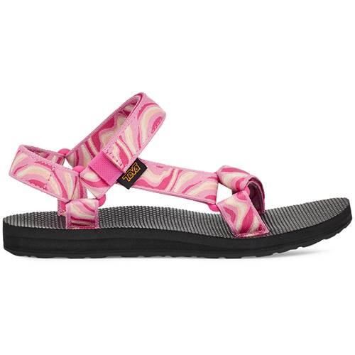 TEVA picture