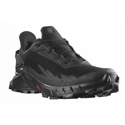 Schuhe Alphacross 4 Gore-Tex W - 470641 Schwarz