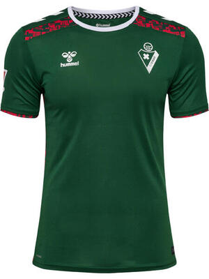 Instap t-shirt sde 24/25 unisex volwassene hummel