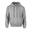 Unisex Adult Heavy Blend Hoodie (Sportgrijs)