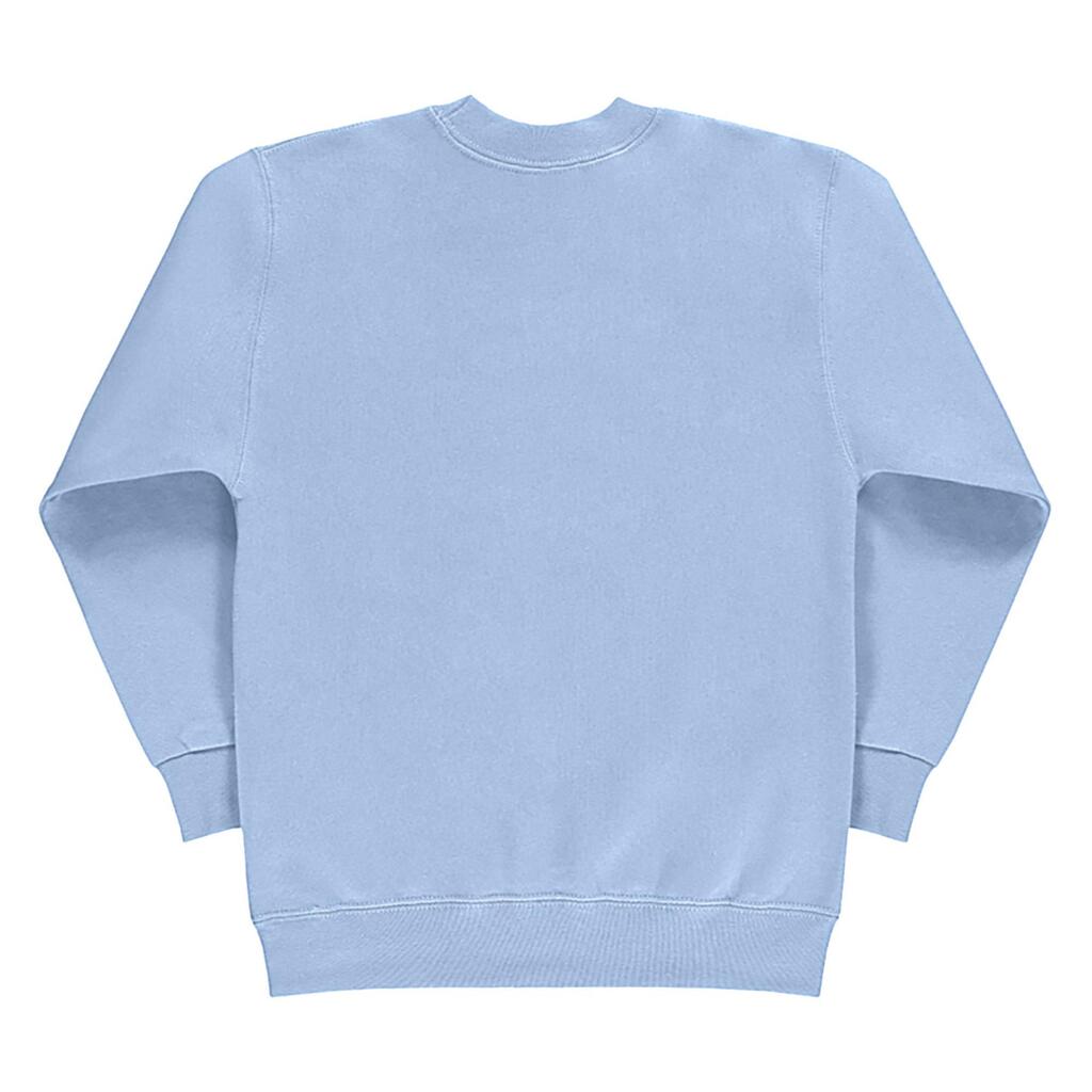 Kids/Childrens Crew Neck Sweatshirt Top (Sky Blue)