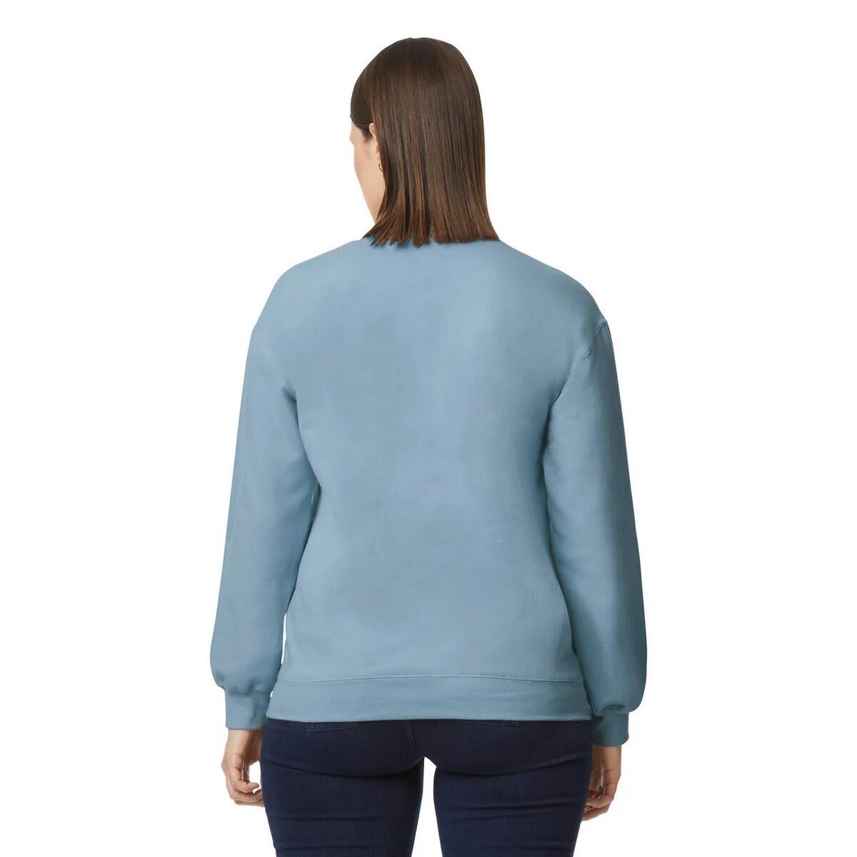 Sweat SOFTSTYLE Adulte (Bleu De Gris) 2/3