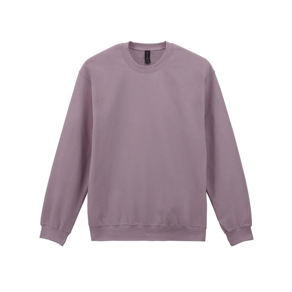 Unisex Adult Softstyle Midweight Fleece Sweatshirt (Paragon)