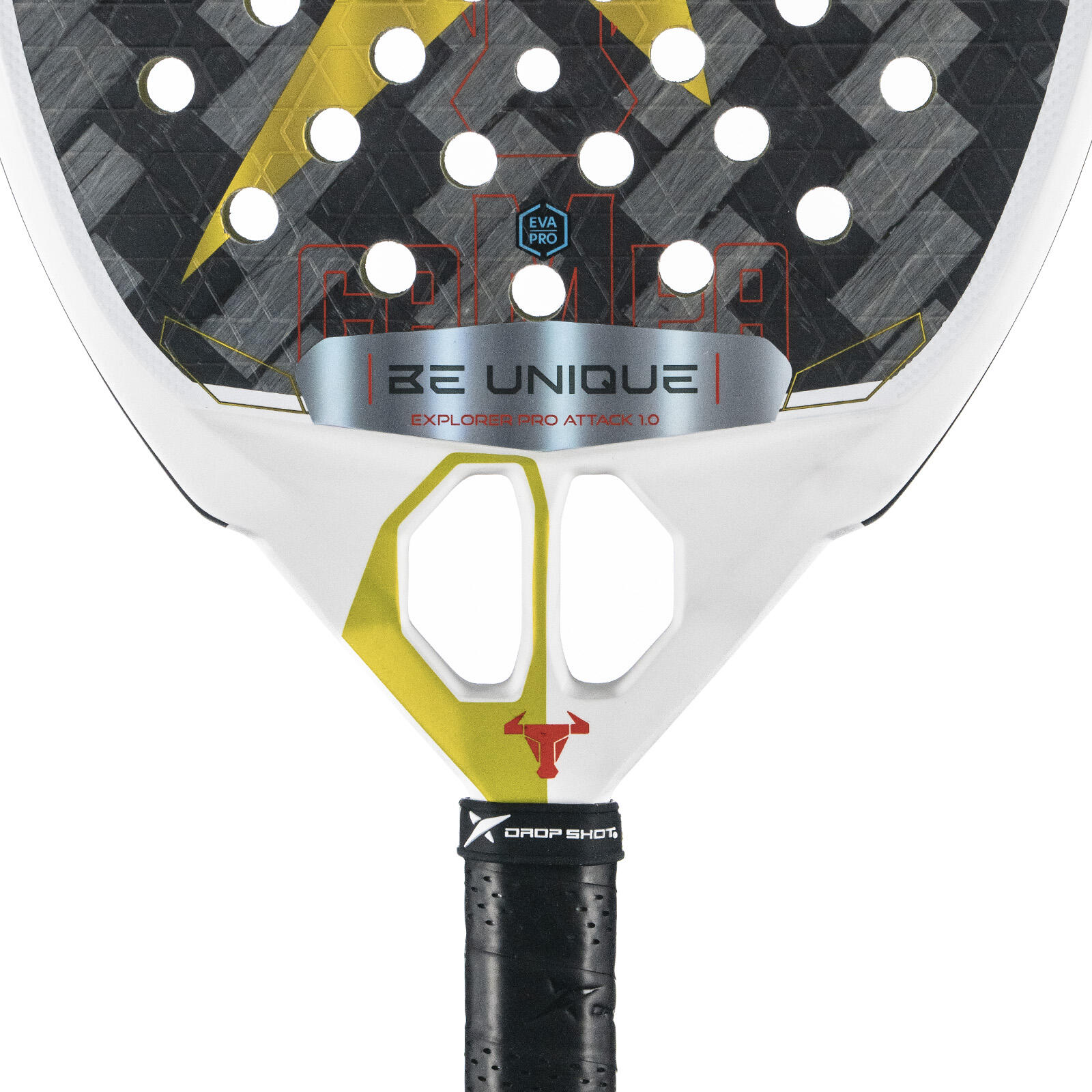 Pala Explorer Pro Attack 1.0 4/6