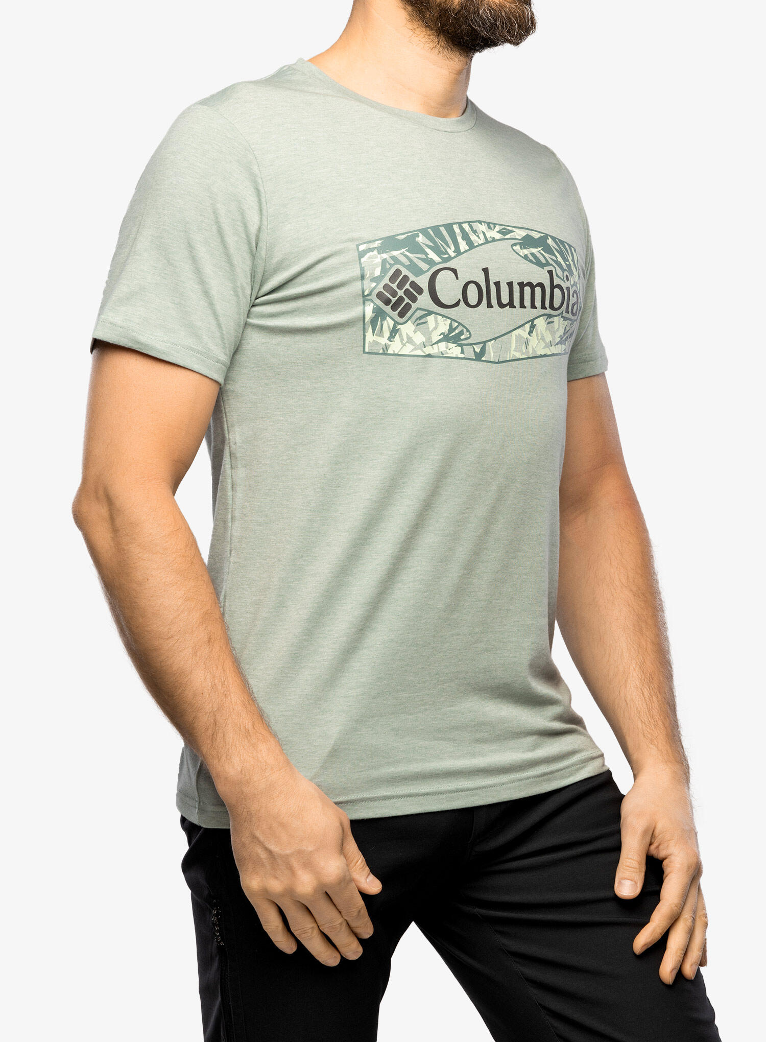 COLUMBIA picture