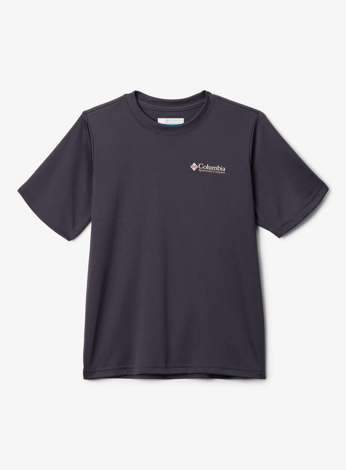 Koszulka szybkoschnąca chłopięca Columbia Fork Stream Short Sleeve Graphic Shirt