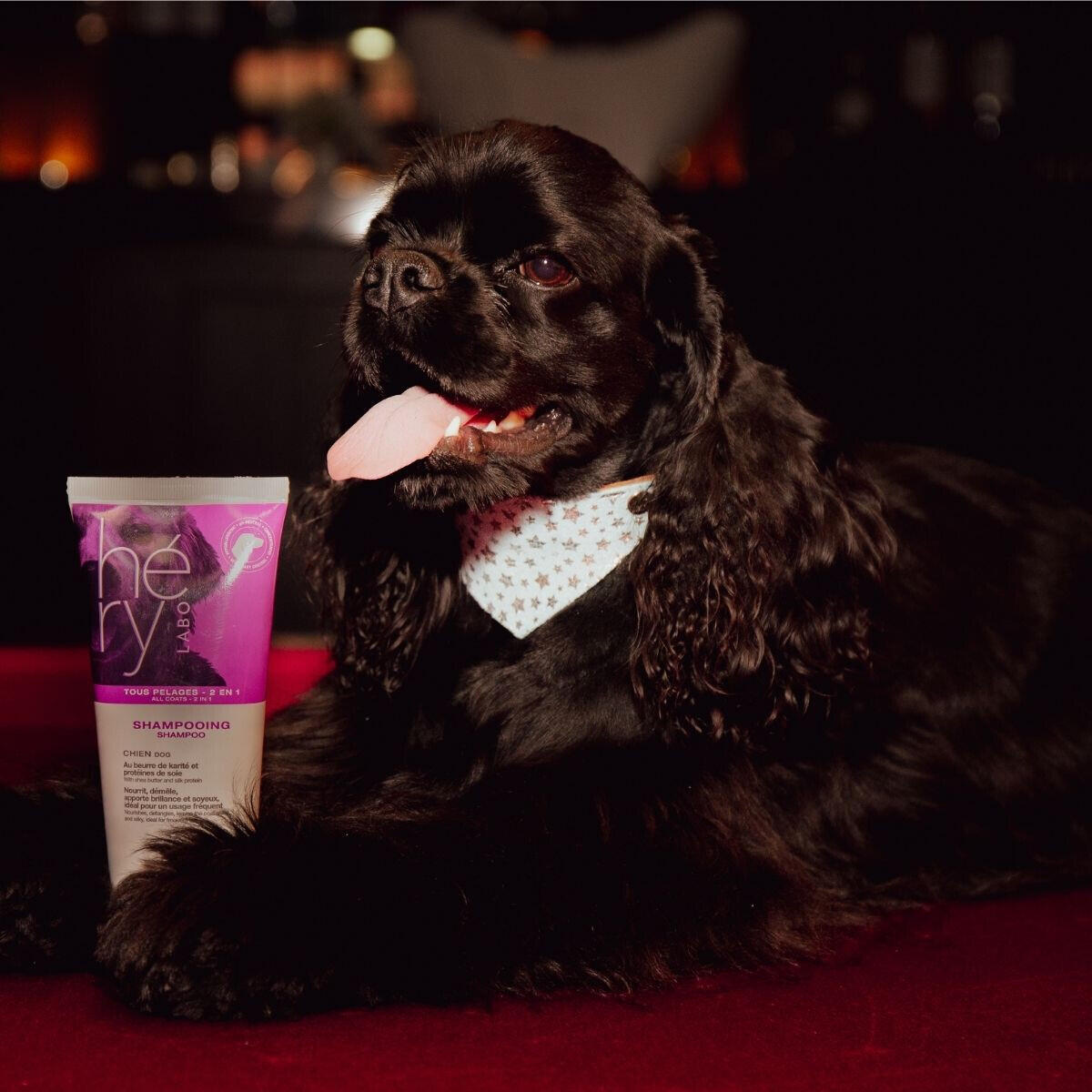 Shampoo voor honden Héry 2/2