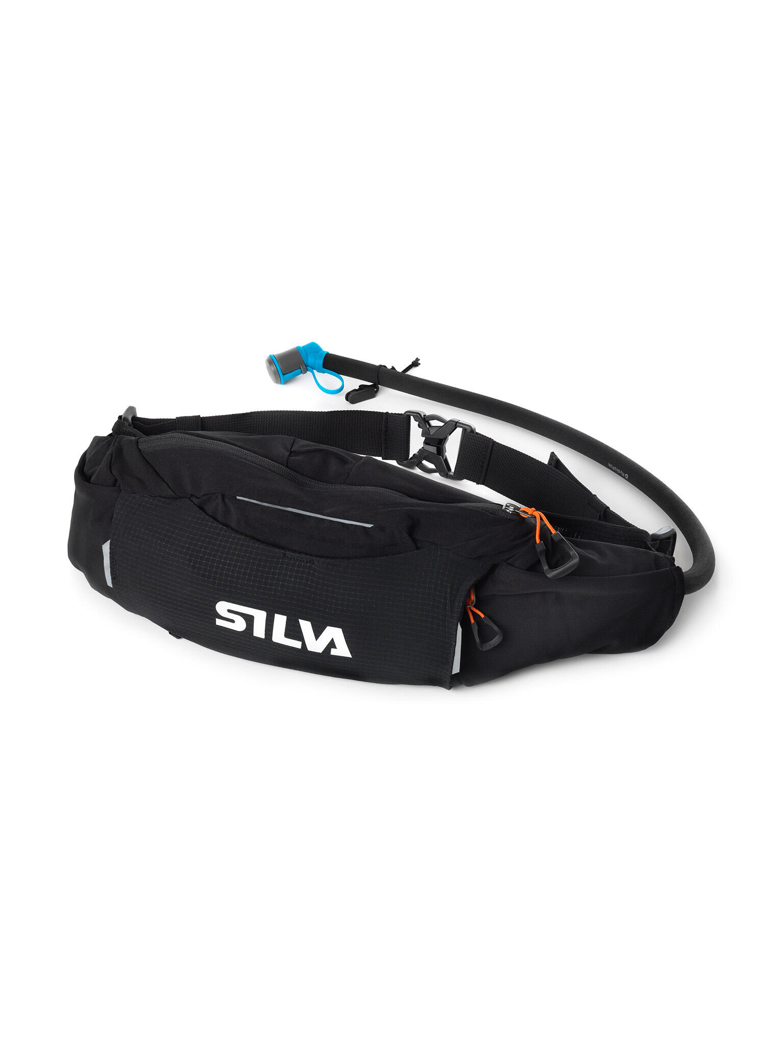 SILVA picture
