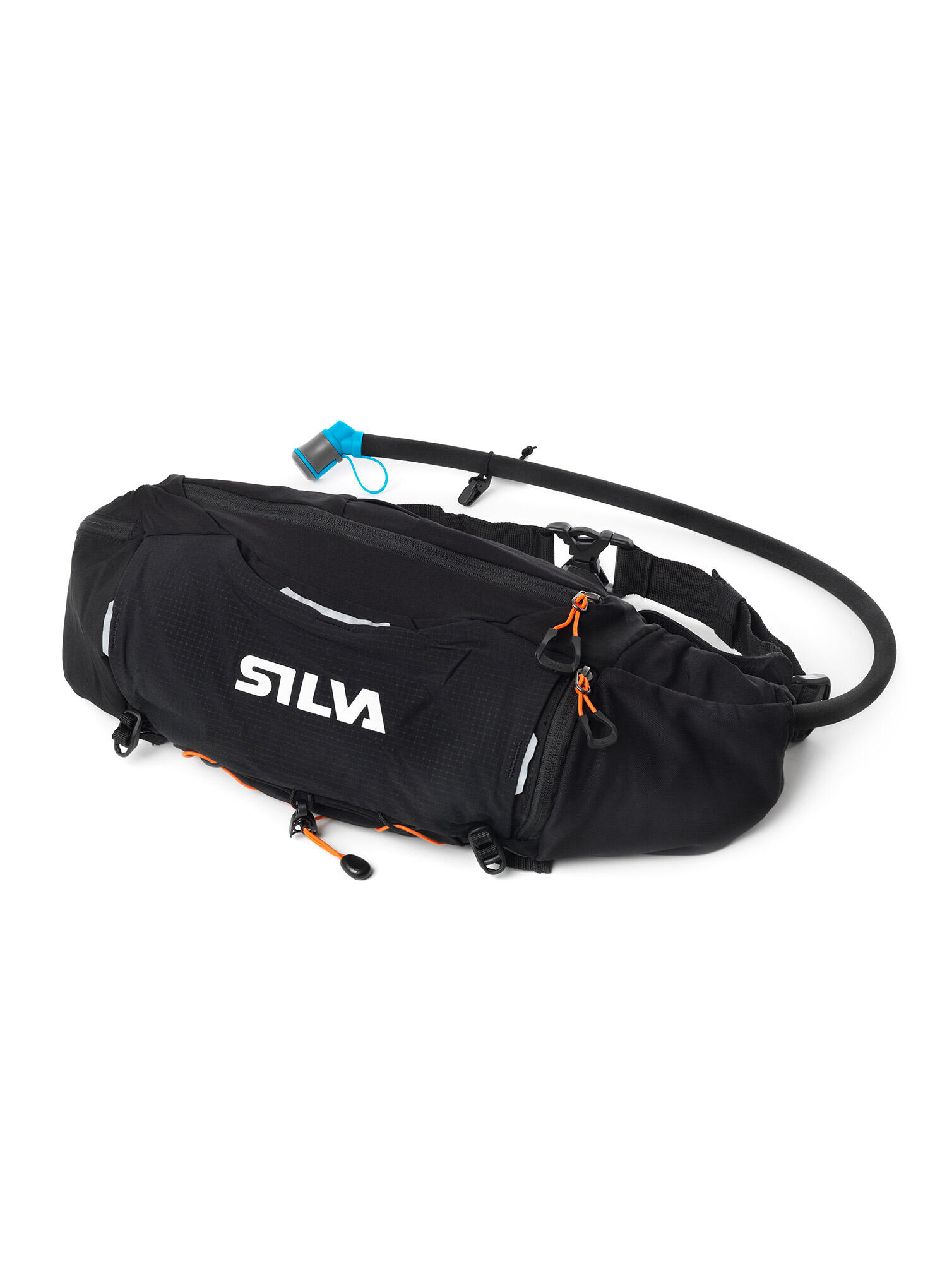 SILVA picture
