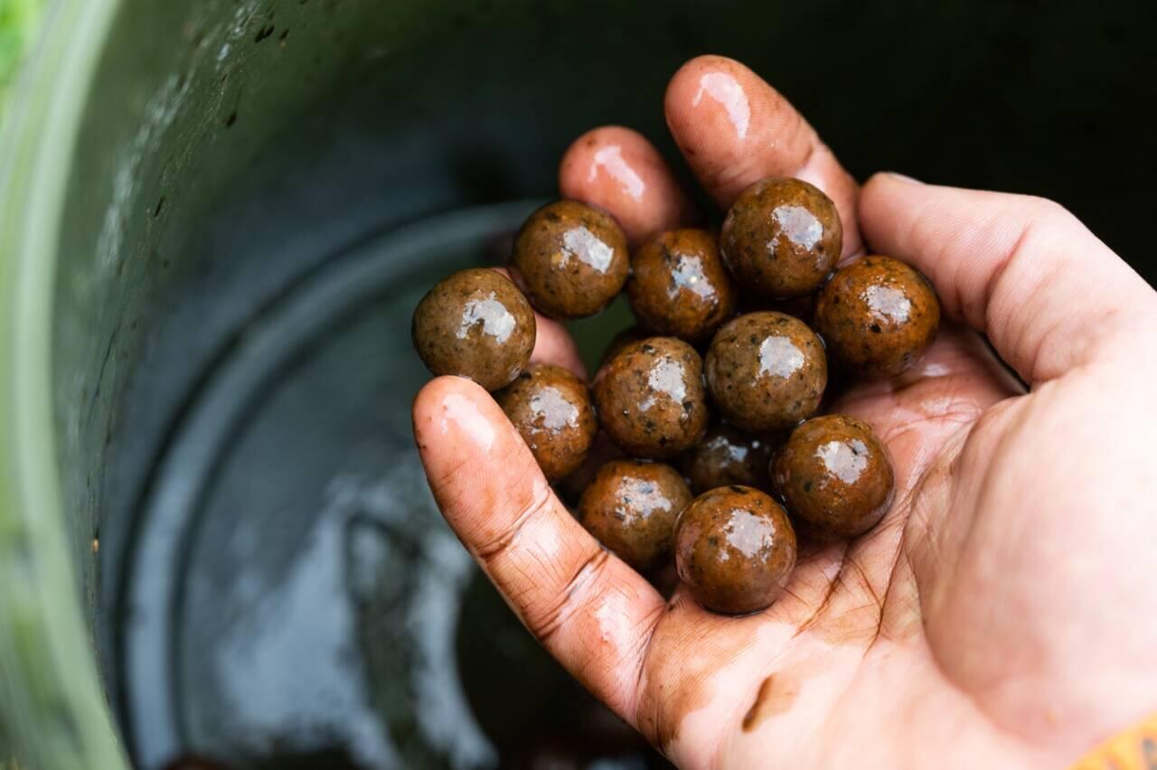 Boilies Dynamite Baits Peppered Squid Liquid 3/4