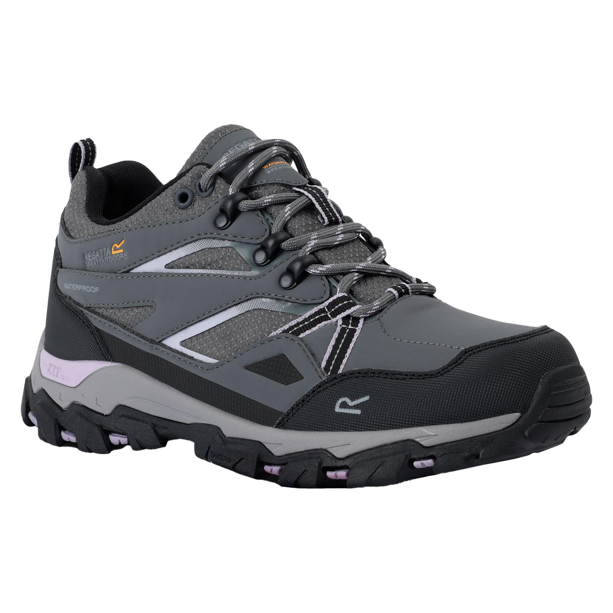 REGATTA Womens/Ladies Holcombe III Low Walking Shoes (Briar/Wisteria)
