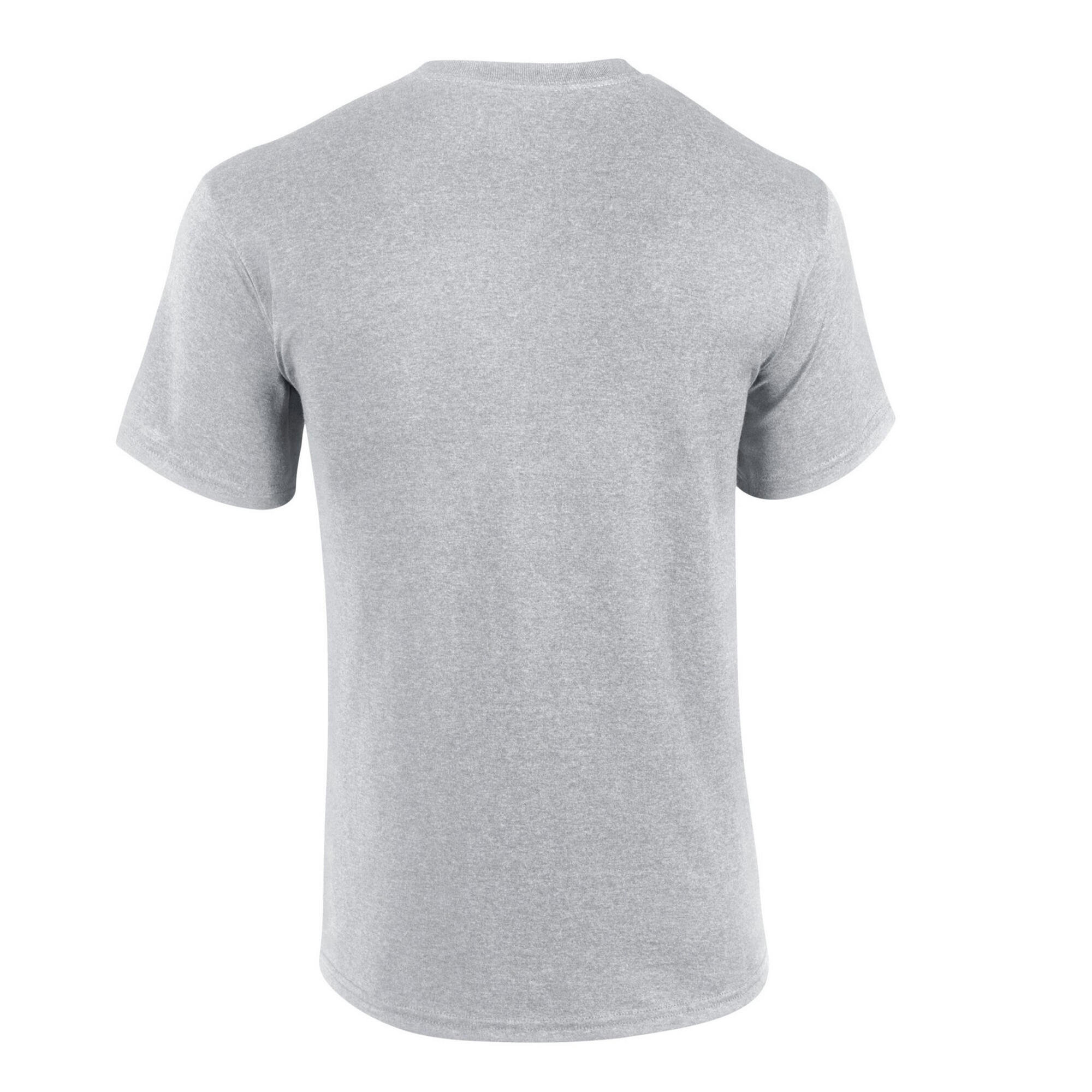 Tshirt Adulte (Gris) 2/3