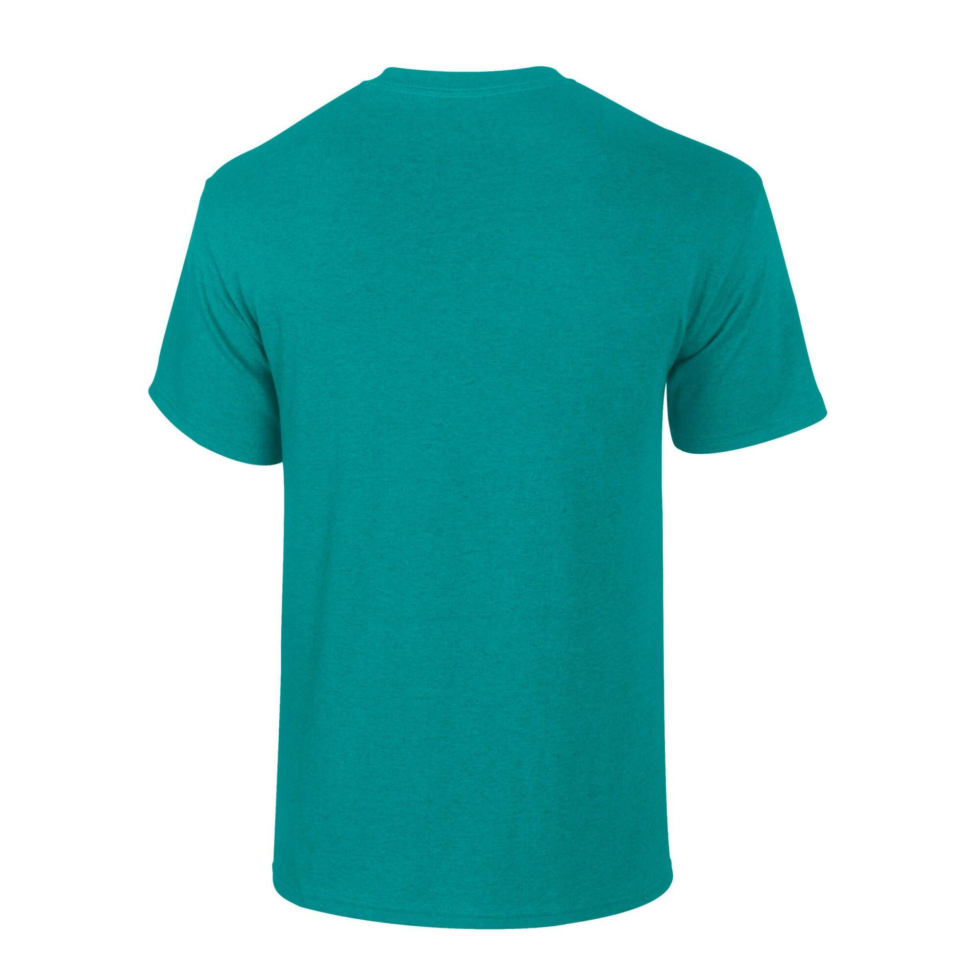 Tshirt Adulte (Jade Chiné) 2/2