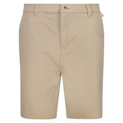 Heren sabden chino korte broek (haver)