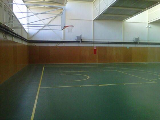JUEGO CANASTAS BALONCESTO ABATIBLES VUELO 2,5 MT -SIN TABLERO, NI ARO - 2/2