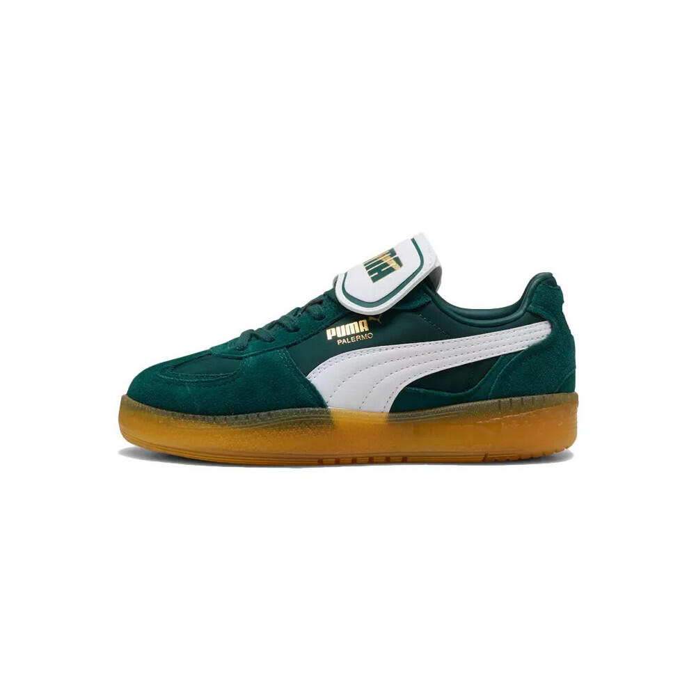 PUMA picture