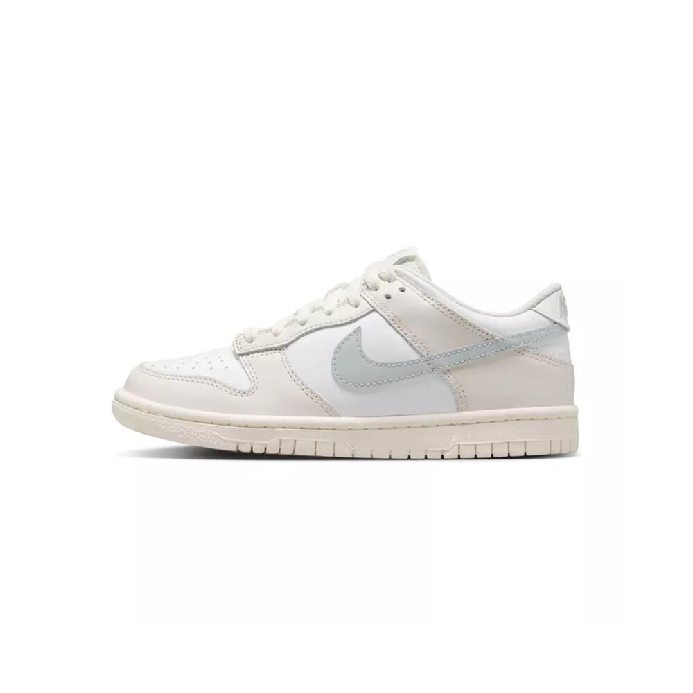 Basket Nike DUNK LO GS