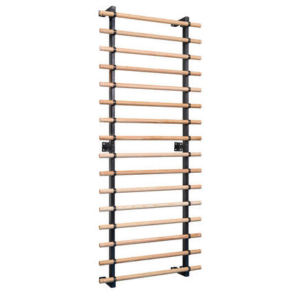 Sprossenwand XS 16 Sprossen Turnen Unisex Holz-Natur, Schwarz