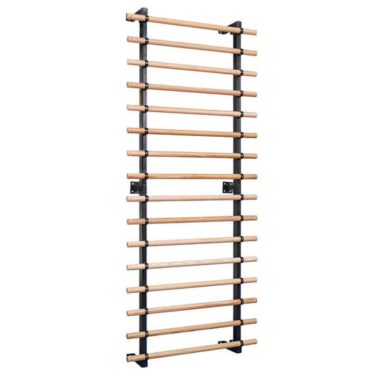 Sprossenwand XS 16 Sprossen Turnen Unisex Holz-Natur, Schwarz