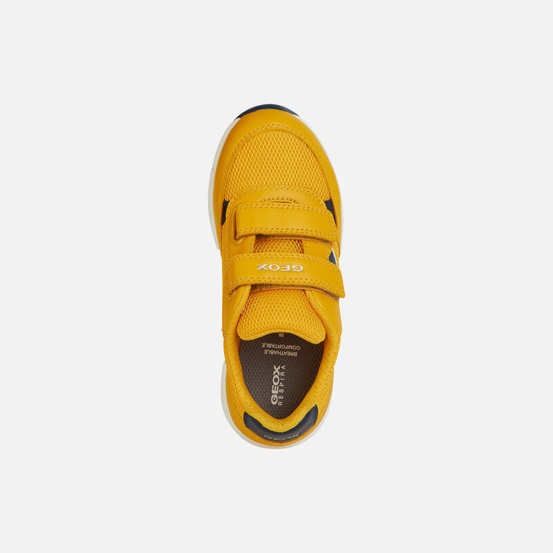 Baskets fille Geox Alben