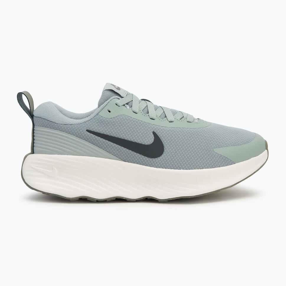 Buty męskie Nike Promina