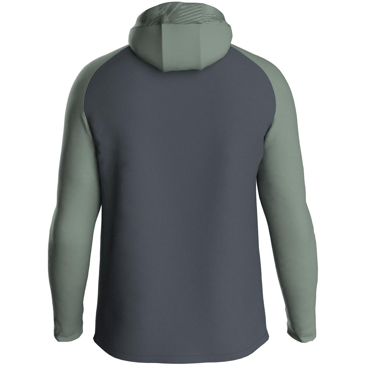 Veste de survêtement à capuche full zip Jako Iconic 2/7