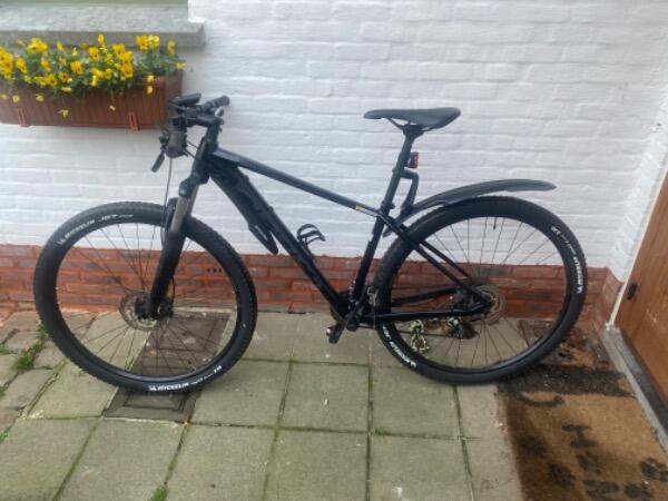 ORBEA picture