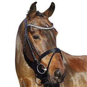 EURORIDING Euroriding Hoofdstel La Rochelle English Comb. Noseband Zwart