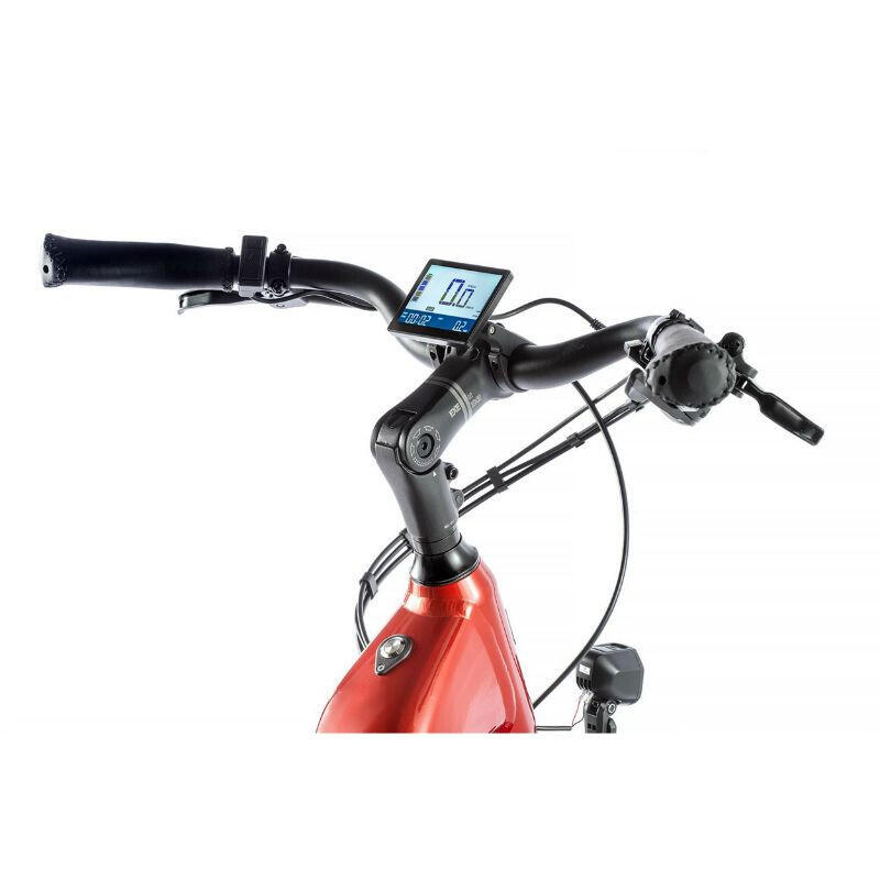 Bicicletta elettrica con motore ruota posteriore bafang Leader Fox Nara 2023 36V 2/3