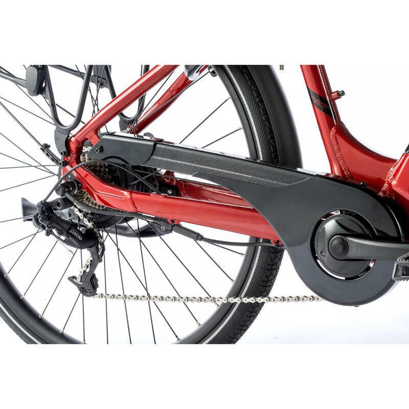 Bicicletta elettrica con motore ruota posteriore bafang Leader Fox Nara 2023 36V 3/3