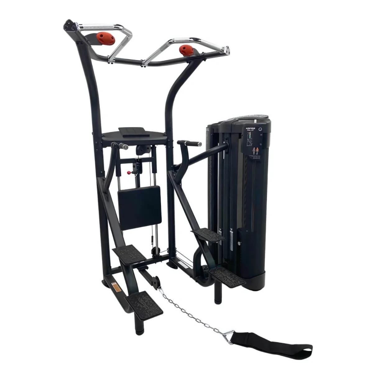INSPIRE DUAL Station Chin Up